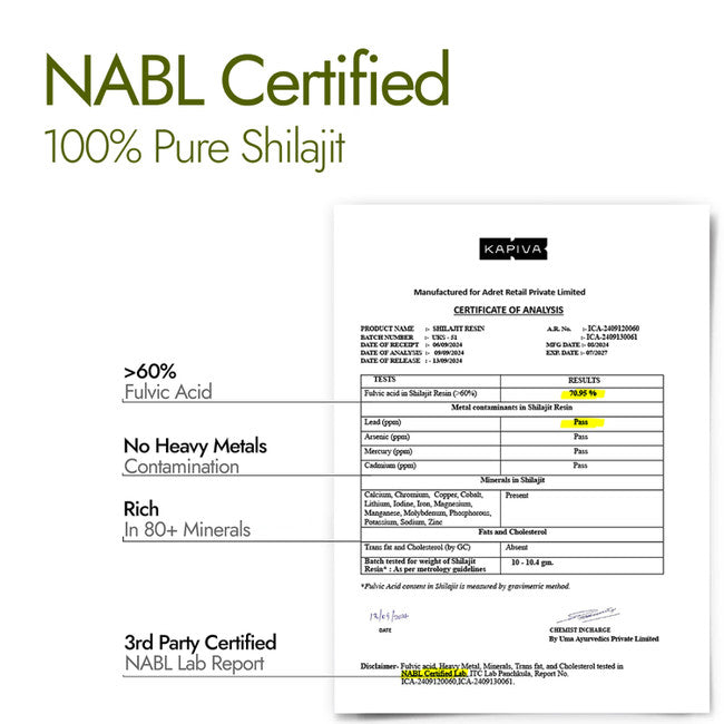 Himalayan Shilajit Resin